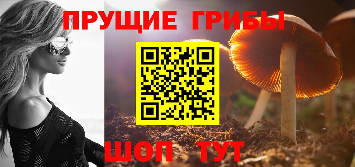 где найти наркотики  Псилоцибиновые грибы Magic Shrooms  Истра  Вход с VPN  Псилоцибиновые грибы мицелий 